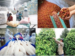 Make use of each market for export of agricultural products