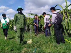 Loc Troi takes soil samples for project on 'Improving the quality of tropical fruits'