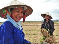 Gender mainstreaming in agricultural extension to promote women’s role in agriculture