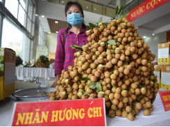 Hung Yen longan, agricultural products overcome Covid-19