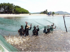 Only 40 per cent of shrimp farming areas invested three-phase power supply system