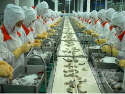 Seafood exports projected to reach USD 12 billion by 2025