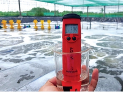 Kiểm soát nhiệt độ ao nuôi
