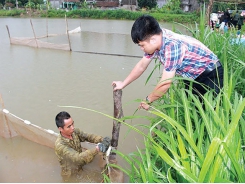 Một số giải pháp phòng chống dịch bệnh thủy sản trong mùa mưa bão
