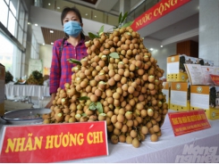 Many longan areas are qualified for exports to China, USA, Australia