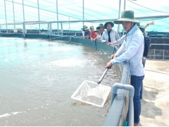 Adjustment to minimize difficulties in shrimp production 'capital'