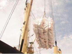 Rice is Vietnam's No. 1 commodity exported to Africa