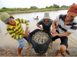 Supports urged to maintain agricultural production during the COVID-19 pandemic