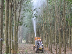 Những sáng kiến hữu ích trong ngành cao su