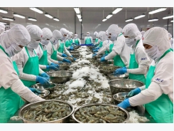 Khánh Hòa xuất khẩu thủy sản ước đạt trên 454 triệu USD