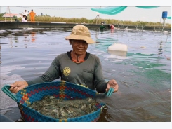 Khánh Hòa tăng cường quản lý nuôi trồng thủy sản cuối năm