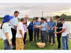 Nuôi tôm càng xanh lãi ròng 400 triệu đồng/ha