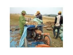 Máy Thái Sắn Hiện Đại Nhất Việt Nam