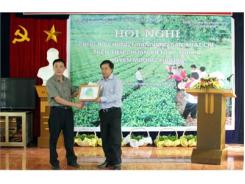 1.000 Ha Chè Đạt Chuẩn VietGAP