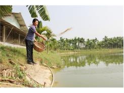 Nông Dân Vũ Trung Học Làm Giàu Trên Mảnh Đất Quê Hương