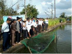 Hội Thảo Mô Hình Nuôi Cá Chép V1 Thương Phẩm