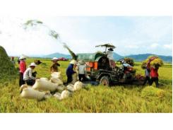 Tái Cơ Cấu Nông Nghiệp Xây Dựng Nông Thôn Mới Vùng ĐBSCL