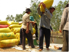 Những Mô Hình Liên Kết Manh Nha