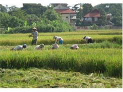 Tạo Điều Kiện Phát Triển Kinh Tế, Xã Hội