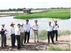 Bến Tre Quản Lý Mùa Vụ Nuôi Tôm Biển Ngày Càng Đi Vào Nền Nếp, Hiệu Quả