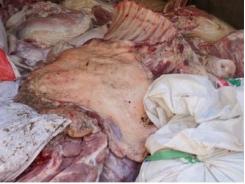 Chặn đứng gần 5 tấn thịt heo bệnh sắp vào chợ