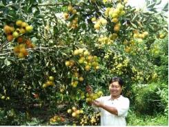 Cú bắt tay ba bên
