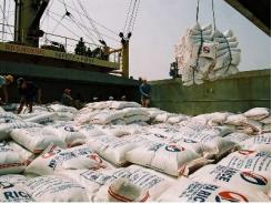 Dự báo năm nay xuất khẩu gạo đạt 8 triệu tấn
