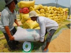 Gạo Việt nhưng phải dùng bao bì nước ngoài để bán trong siêu thị