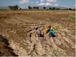 Không thể vẽ được bức tranh 4 mùa vì El Nino