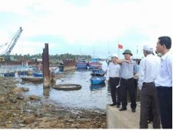 Lập dự án đầu tư xây dựng Khu hậu cần nghề cá Tam Quang