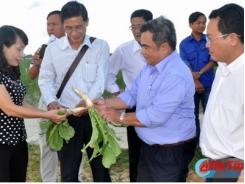 Nông dân Bà Rịa Vũng Tàu học hỏi kinh nghiệm tại Hà Tĩnh