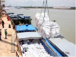 Nông nghiệp Việt đón sóng TPP Loay hoay với bài toán gạo