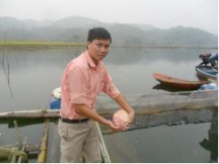 Đánh giá hiệu quả mô hình nuôi cá lồng trên hồ Bảo Linh