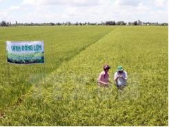 Phải ủng hộ các đại gia đầu tư, tạo đột phá cho ngành nông nghiệp