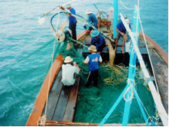 Thăng Bình tập huấn nghề lưới rê cho ngư dân
