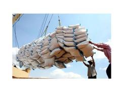 Thị trường lúa gạo sôi động nhờ đơn hàng của Philippines