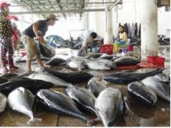 TPP và thách thức đối với thị trường xuất khẩu cá ngừ
