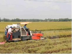 Venezuela phê chuẩn thỏa thuận hợp tác nông nghiệp với Việt Nam