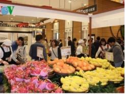 Xoài Cát Chu Việt Nam chính thức vào thị trường Nhật Bản