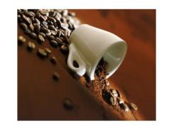 Xuất khẩu cà phê nhân giảm dần do chế biến cà phê rang xay và hòa tan tăng
