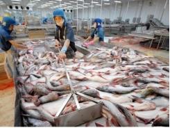 Xuất khẩu cá tra sang 5 thị trường chính sụt giảm