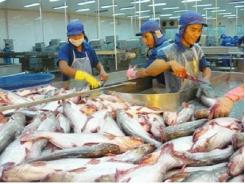 Xuất khẩu cá tra vào Mỹ giảm mạnh