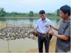 Khơi dậy ý chí làm giàu trong nông dân