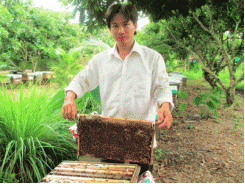Người nuôi ong miền Tây “thoải mái” di dời đàn