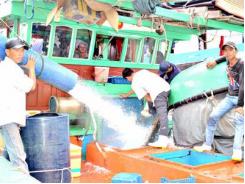 Hầm bảo quản hải sản PU: Nâng cao giá trị sau đánh bắt
