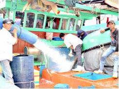Hầm bảo quản hải sản PU: Nâng cao giá trị sau đánh bắt