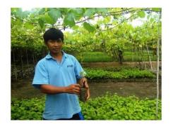 Ninh Thuận: Thu tiền tỷ từ bán nho giống