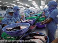 Cá tra hưởng lợi lớn từ Việt Nam – EAEU