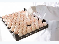 Restoring the hatchability of stored eggs
