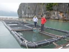 Làm lồng nuôi cá bằng vật liệu ống nhựa HDPE